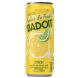 BADOIT BULLES DE FRUITS - CITRON