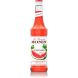 BOUT.MONIN PASTEQUE WATER MELON X01