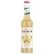 MONIN CONCENTRE DE GINGEMBRE