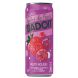 BADOIT BULLES DE FRUITS ROUGES