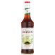 MONIN CONCENTRE DE THE VERT