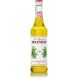 BOUT.MONIN AGAVE 70 CL