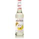 BOUT.MONIN MIEL (SIROP)         X01