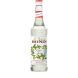 BOUT.MONIN MOJITO MINT (VP70)   X01