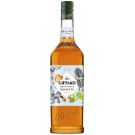 GIFFARD SIROP DE  NOISETTE