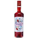 GIFFARD GUIGNOLET D'ANGERS