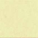 100 SERVIETTES OUATE VANILLE 38X38