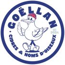 GOELLAN CIDRE 5° FUT 20L