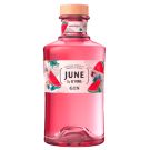 GIN JUNE PASTEQUE
