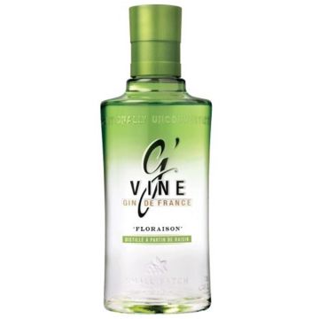 GIN G VINE FLORAISON