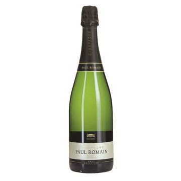 Paul Romain Brut