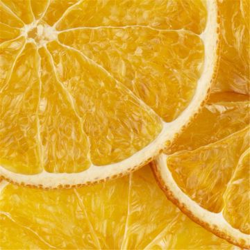 TRANCHES ORANGES SECHEES 130/145 PIECES