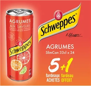5+1 FARDEAU SCHWEPPES AGRUMES SLIMCAN 33CL