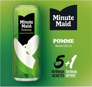 5+1 MINUTE MAID POMME SLIMCAN 