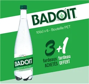 3+1 BADOIT VERTE 100CL PET X 6