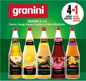 4+1 GRANINI 1L VC x 6
