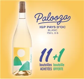 11+1 IGP OC PALOOZA BLANC 