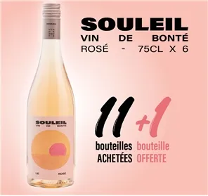 11+1 SOULEIL ROSE 