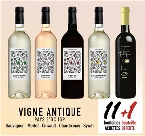 11+1 GAMME VIGNE ANTIQUE PAYS OC IGP