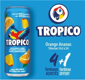 4+1 FARDEAU TROPICO ORANGE ANANAS SLIMCAN 33CL X 24 