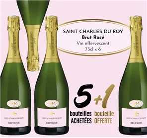 5+1 ST CHARLES DU ROY ROSE