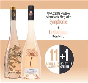 11+1 CDP STE MARGUERITE SYMPHONIE ET FANTASTIQUE ROSE