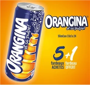 5+1 ORANGINA SLIMCAN 33CL
